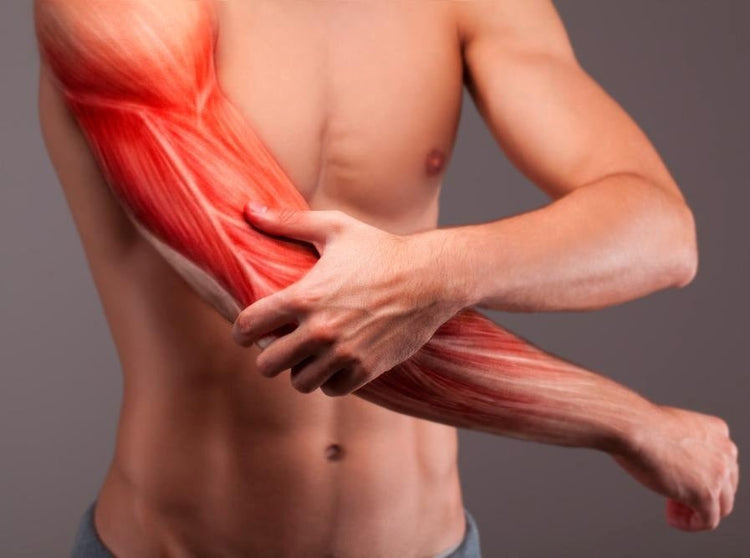 Peptides for Injury Healing & Recovery - Peptidelabs